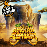 African Elephantâ„¢